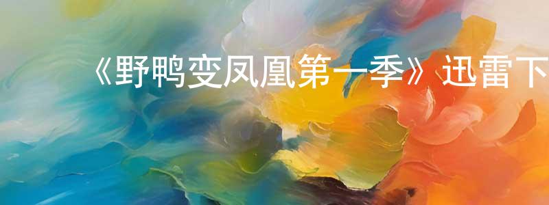 蔡英楠发布《野鸭变凤凰第一季》迅雷下载/在线观看-都市情感-美剧天堂